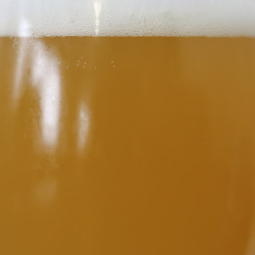 Beer Liquid for Good George Tasting Notes Section