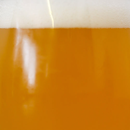 Beer Liquid for Good George Tasting Notes Section