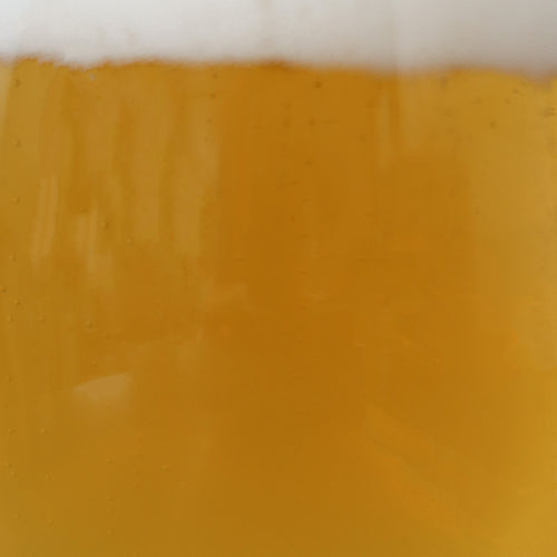 Beer Liquid for Good George Tasting Notes Section