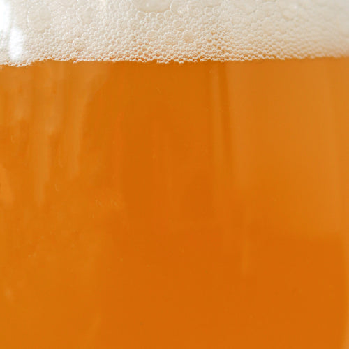 Beer Liquid for Good George Tasting Notes Section