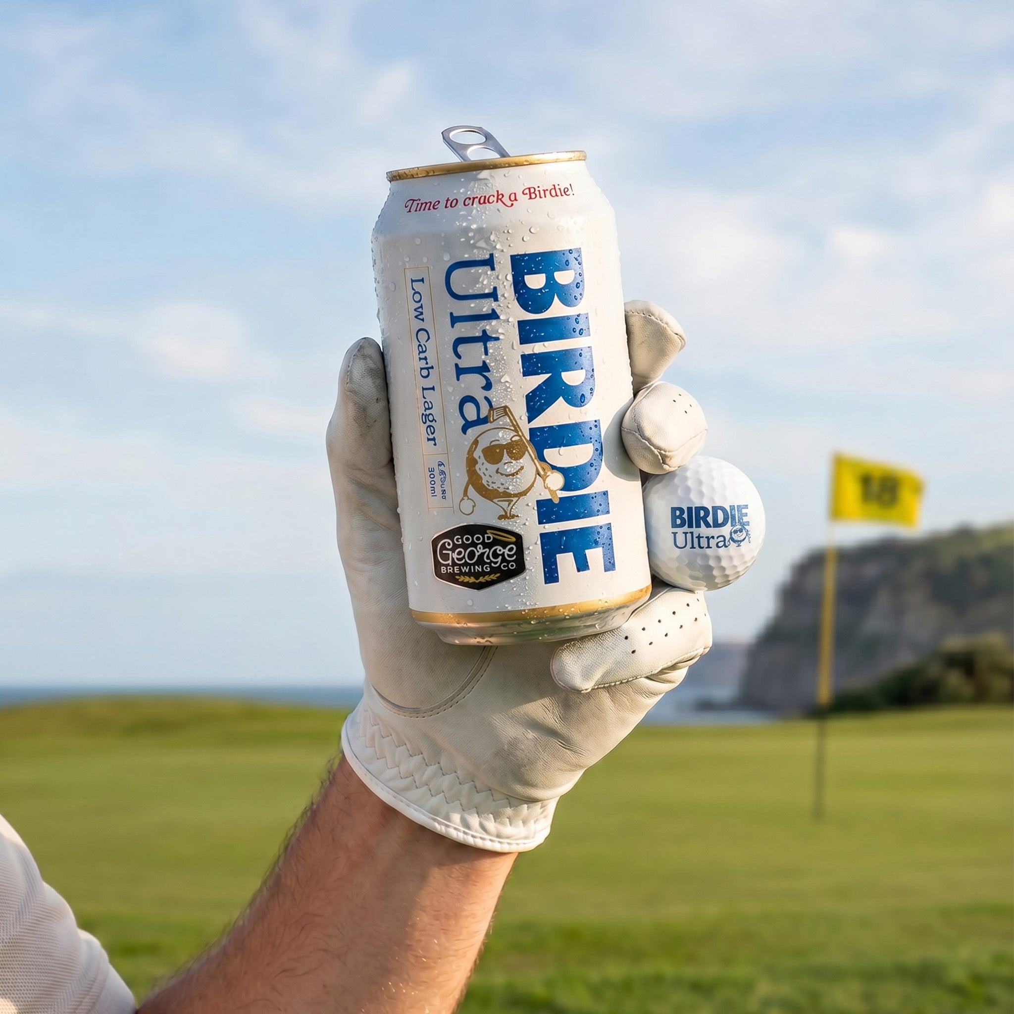Birdie Ultra Low Carb Lager 12 Pack