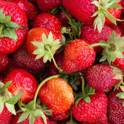 Close-up of fresh strawberries with green stems.